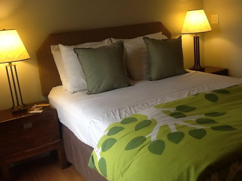 Zenyard Guest House Phoenix Zimmer foto